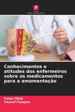 Conhecimentos e atitudes dos enfermeiros sobre os medicamentos para a amamentação