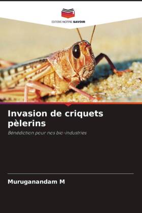 Invasion de criquets pèlerins