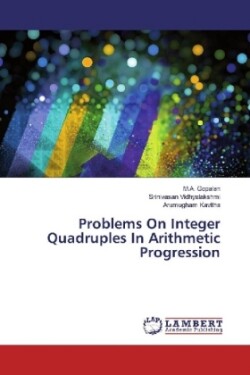 Problems On Integer Quadruples In Arithmetic Progression