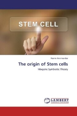 The origin of Stem cells