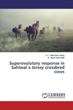 Superovulatory response in Sahiwal x Jersey crossbred cows