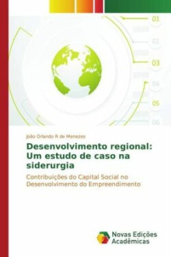 Desenvolvimento regional: Um estudo de caso na siderurgia