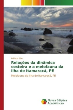 Relações da dinâmica costeira e a meiofauna da Ilha de Itamaracá, PE