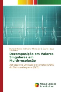 Decomposição em Valores Singulares em Multirresolução