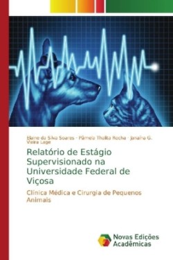 Relatório de Estágio Supervisionado na Universidade Federal de Viçosa