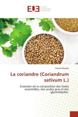 coriandre (Coriandrum sativum L.)