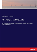 Pampas and the Andes