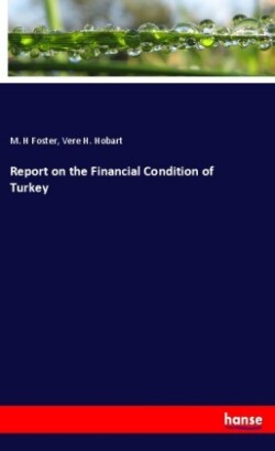 Report on the Financial Condition of Turkey