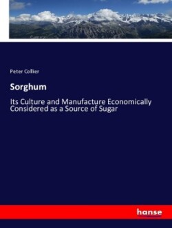 Sorghum