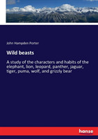 Wild beasts