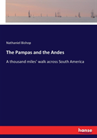 Pampas and the Andes