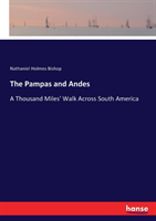 Pampas and Andes