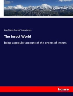 The Insect World