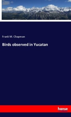 Birds observed in Yucatan