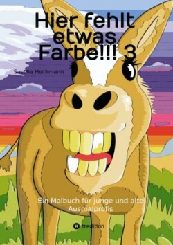 Hier fehlt etwas Farbe!!! 3