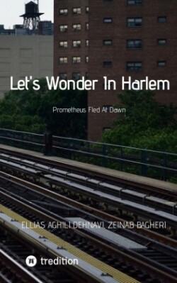 Let's Wonder In Harlem