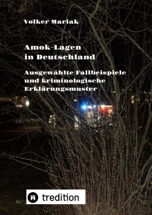 Amok-Lagen in Deutschland: Ausgewählte Fallbeispiele und kriminologische Erklärungsmuster