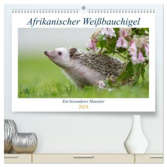 Afrikanische Weißbauchigel (hochwertiger Premium Wandkalender 2024 DIN A2 quer), Kunstdruck in Hochglanz