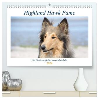 Highland Hawk Fame - Ein Collie begleitet durch das Jahr (hochwertiger Premium Wandkalender 2024 DIN A2 quer), Kunstdruck in Hochglanz