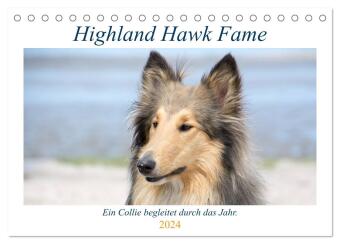 Highland Hawk Fame - Ein Collie begleitet durch das Jahr (Tischkalender 2024 DIN A5 quer), CALVENDO Monatskalender