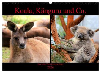 Koala, Känguru und Co. - Das wilde Tierreich Australiens (Wandkalender 2024 DIN A2 quer), CALVENDO Monatskalender