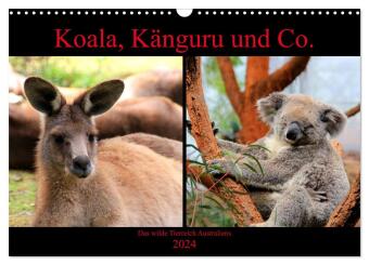 Koala, Känguru und Co. - Das wilde Tierreich Australiens (Wandkalender 2024 DIN A3 quer), CALVENDO Monatskalender