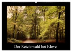 Der Reichswald bei Kleve (Wandkalender 2024 DIN A2 quer), CALVENDO Monatskalender