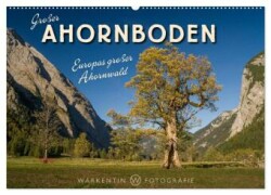 Großer Ahornboden - Europas großer Ahornwald (Wandkalender 2024 DIN A2 quer), CALVENDO Monatskalender