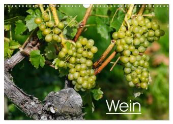 Wein (Wandkalender 2024 DIN A3 quer), CALVENDO Monatskalender
