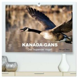 KANADA-GANS - Der 'hupende' Vogel (hochwertiger Premium Wandkalender 2024 DIN A2 quer), Kunstdruck in Hochglanz