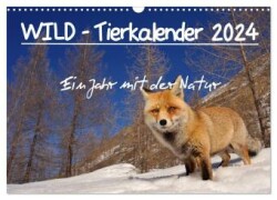 WILD - Tierkalender 2024 (Wandkalender 2024 DIN A3 quer), CALVENDO Monatskalender