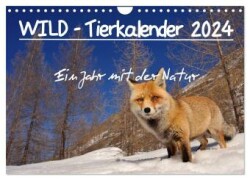 WILD - Tierkalender 2024 (Wandkalender 2024 DIN A4 quer), CALVENDO Monatskalender
