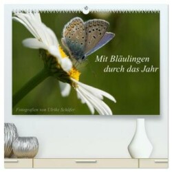 Mit Bläulingen durch das Jahr (hochwertiger Premium Wandkalender 2025 DIN A2 quer), Kunstdruck in Hochglanz