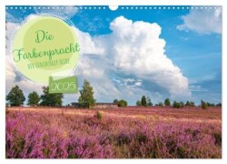 Die Farbenpracht der Lüneburger Heide (Wandkalender 2025 DIN A3 quer), CALVENDO Monatskalender