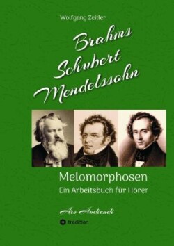 Brahms, Schubert, Mendelssohn: Melomorphosen - Früchte der Musikmeditation, sichtbar gemachte Informationsmatrix ausgewählter Musikstücke, Gestaltwerkzeuge für Musikhörer; ohne Verwendung von Noten