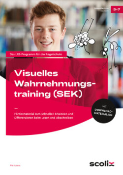 Visuelles Wahrnehmungstraining - Sekundarstufe