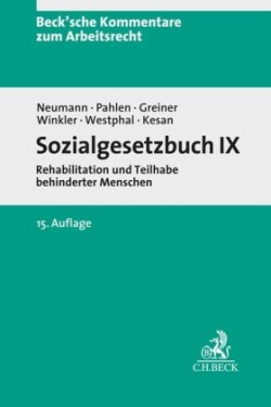 Sozialgesetzbuch IX