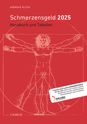 Schmerzensgeld 2025, m. 1 Buch, m. 1 Online-Zugang