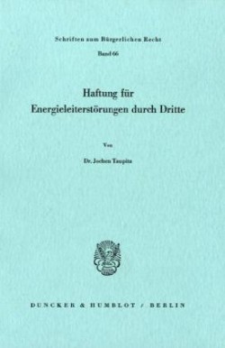 Haftung für Energieleiterstörungen durch Dritte.