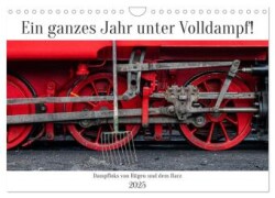 Ein ganzes Jahr unter Volldampf! (Wandkalender 2025 DIN A4 quer), CALVENDO Monatskalender