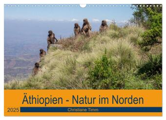 Äthiopien - Natur im Norden (Wandkalender 2025 DIN A3 quer), CALVENDO Monatskalender