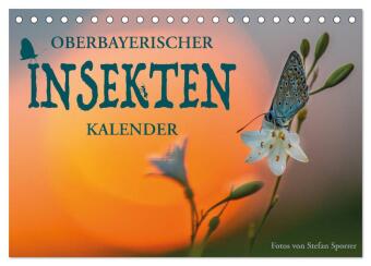 Oberbayerischer Insekten Kalender (Tischkalender 2025 DIN A5 quer), CALVENDO Monatskalender