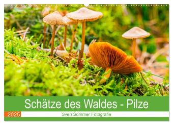 Schätze des Waldes - Pilze (Wandkalender 2025 DIN A2 quer), CALVENDO Monatskalender