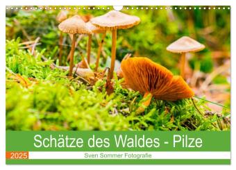 Schätze des Waldes - Pilze (Wandkalender 2025 DIN A3 quer), CALVENDO Monatskalender