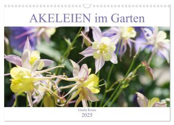 Akeleien im Garten (Wandkalender 2025 DIN A3 quer), CALVENDO Monatskalender