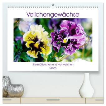 Veilchengewächse - Stiefmütterchen und Hornveilchen (hochwertiger Premium Wandkalender 2025 DIN A2 quer), Kunstdruck in Hochglanz