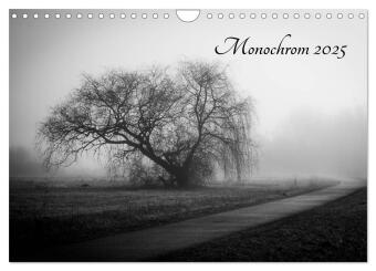 Monochrom 2025 (Wandkalender 2025 DIN A4 quer), CALVENDO Monatskalender