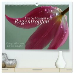 Die Schönheit von Regentropfen (hochwertiger Premium Wandkalender 2025 DIN A2 quer), Kunstdruck in Hochglanz