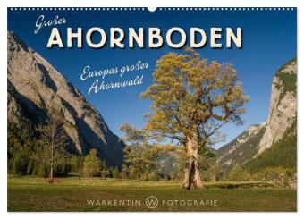 Großer Ahornboden - Europas großer Ahornwald (Wandkalender 2025 DIN A2 quer), CALVENDO Monatskalender