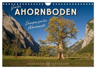Großer Ahornboden - Europas großer Ahornwald (Wandkalender 2025 DIN A4 quer), CALVENDO Monatskalender